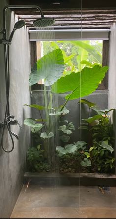 a shower head with water running from it in a bathroom next to plants and greenery