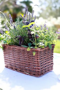 a wicker basket filled with plants sitting on top of a white tablecloth covered table