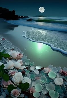 the moon shines brightly in the night sky over an ocean shore with flowers and rocks