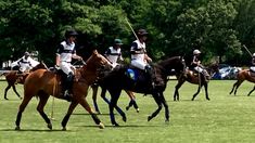 several polo players are riding horses on the field