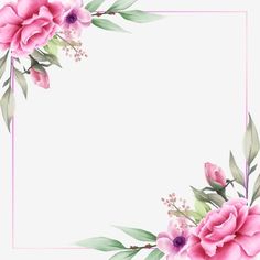 pink flowers and green leaves are arranged in a rectangle frame on a white background