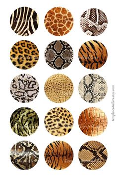 different types of snakes and their patterns on a white background, including zebras, giraffes, and other animals