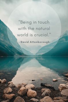 "Being in touch with the natural world is crucial", a quote by Sir David Attenborough, over mountainous landscape with lake. Open University, Wildlife Biologist, Career Inspiration, Closer To Nature, Natural World, Trees To Plant, Bbc