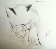 a drawing of a cat sleeping on top of a bed