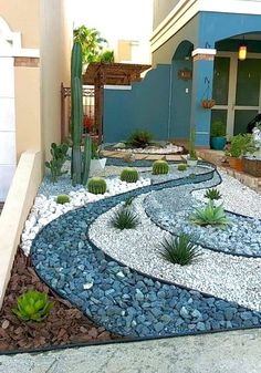 an outdoor garden with rocks and plants