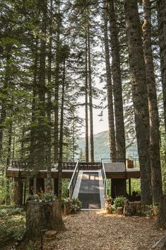 the stairs lead up to the deck in the woods