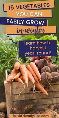 carrots and other vegetables with text overlay that reads, 15 vegetables you can easily grow in winter learn how to harvest year - round