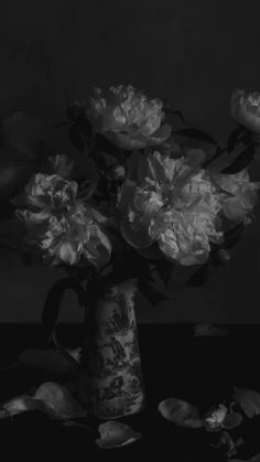 a black and white photo of flowers in a vase