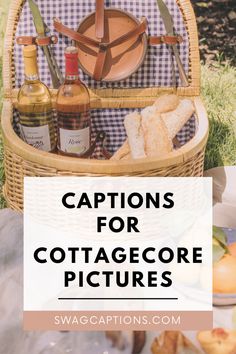 a picnic basket with wine, cheese and bread in it on top of the grass