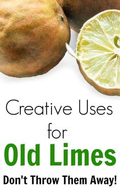 Old Lemons What To Do With, Fresh Limes Recipes, What To Do With Old Oranges, Old Oranges What To Do With, Uses For Limes, Recipes Using Fresh Limes, What To Do With Limes, Lime Recipes Healthy, Veggie Storage