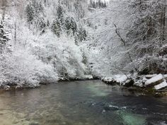 a river surrounded by snow covered trees in the wintertime with water running through it