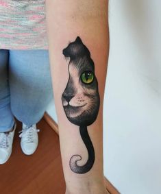 a cat with green eyes is on the arm