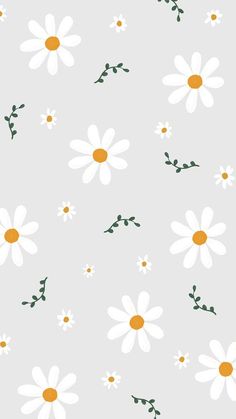 white daisies and green leaves on a gray background