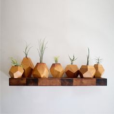 four wooden vases with air plants in them sitting on a shelf against a white wall