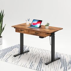 a computer desk with a laptop on it and a potted plant next to it