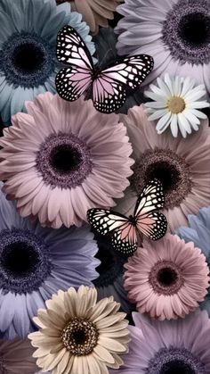 many different colored flowers with a butterfly on them