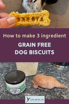 a small dog eating grain from a bowl with the caption how to make 3 ingredient grain free dog biscuits