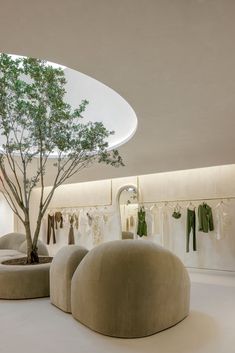 a tree in the middle of a room with clothes hanging on racks and trees growing out of it