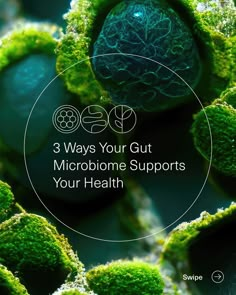 Seed on Instagram: “Your gut is home to an estimated 36 trillion bacteria¹ 🦠—in addition to trillions of viruses, fungi, and archaea that collectively make up …” Gut Health Supplements, Seed Probiotics, Social Media Campaign Design, Brain Health Supplements, Athlete Motivation, Logos Graphic Design, Identity Design Inspiration, Fitness Vision Board, Ads Creative Advertising Ideas