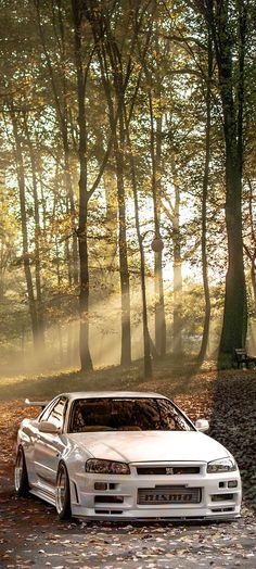 a white car parked in the middle of a leaf covered road next to tall trees