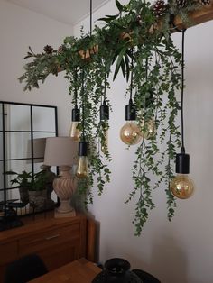 the plants are hanging from the ceiling in the room