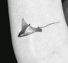 a black and white photo of a small stingfish tattoo on the right ankle area