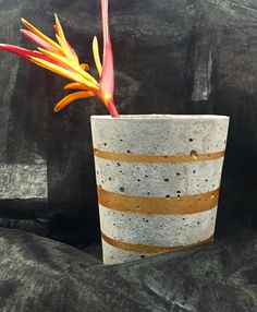 a plant in a concrete pot on a black background