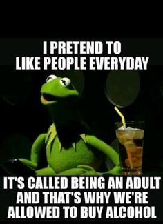 kermie the frog drinking tea with caption that reads, i pretend to like people everyday it's called being an adult and that's why we're allowed to buy alcohol