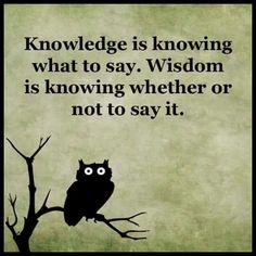 an owl sitting on top of a tree branch with a quote below it that reads, knowledge is known what to say