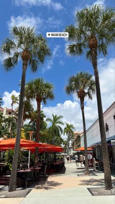 the palm trees are lined up on the sidewalk in front of shops and restaurants at miami beach