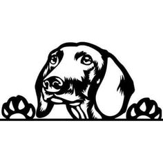 a black and white drawing of a dog