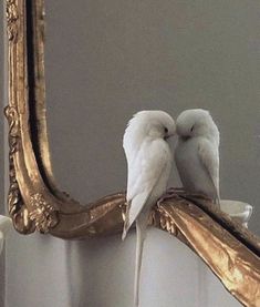 two white birds sitting on top of a mirror next to a gold framed mirror with an ornate frame