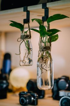 two glass jars with plants in them hanging from the ceiling above a camera and other cameras