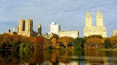 the city is surrounded by tall buildings and trees with autumn leaves on them, reflecting in the water