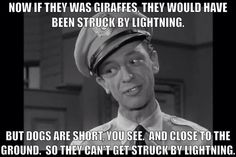 an image of a man in uniform with caption that reads now if they was giraffes, they would have been struck by lightning