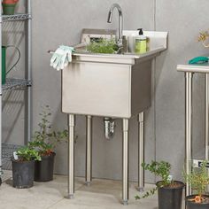 a stainless steel sink in a bathroom with plants and potted plants on the floor