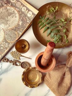 Indian Ayurveda Aesthetic, Indian Product Photography, Indian Mood Board, Indian Vintage Aesthetic, Old Indian Aesthetic, Indian Moodboard, Ayurveda Aesthetic, Ingredients Photography, Forest Essentials