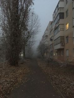 an empty street in the middle of a city on a foggy day with no cars