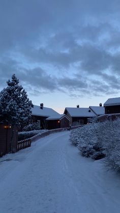 a snow covered road with houses and trees in the background at dusk or dawn on a cold winter's day