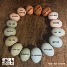 eggs arranged in a circle on a wooden table with words written all over the middle