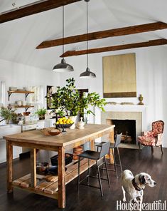 a dog standing in the middle of a room with a wooden table and two chairs