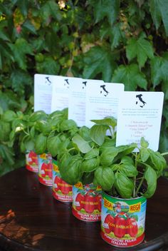 there are many basil plants in tins on the table with cards attached to them