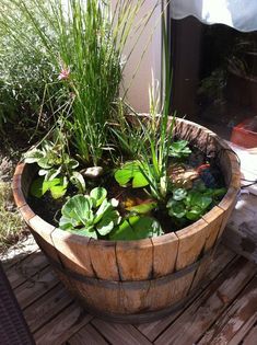 a wooden barrel filled with lots of water plants