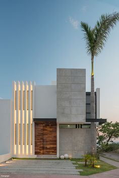 a modern house with palm trees in the front yard and stairs leading up to it