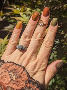 Autumn Treasures Gradient Dip Mani / Aspen, Sienna, Fireside, Cocoa, Mossy Solid Dips / Nail Dip Powder - Etsy Black And White Nail Designs, September Nails, Nail Dip Powder, Pretty Nail Designs, Jupiter Fl, White Nail Designs, Nail Patterns