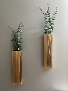 two wooden vases with plants in them on the wall