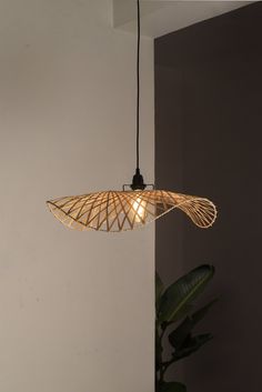 a light that is hanging from the ceiling in a room with a potted plant