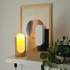 a white and black lamp sitting on top of a shelf next to a potted plant