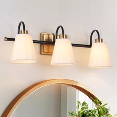 three light bathroom fixture with white shades on the wall and potted plant next to it