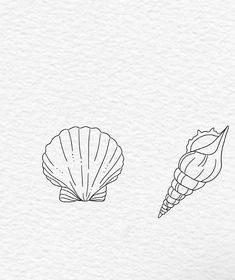 three seashells are shown in black and white